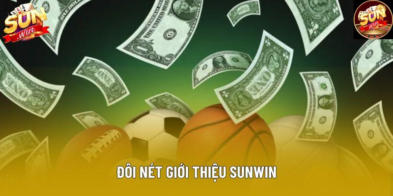 Đôi nét giới thiệu Sunwin